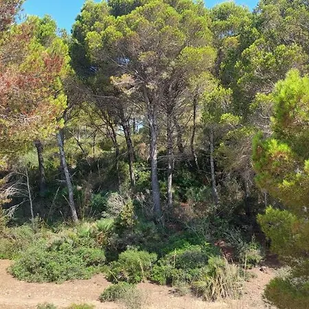 Sol Y Mar Holiday home Cala Ratjada (Mallorca)