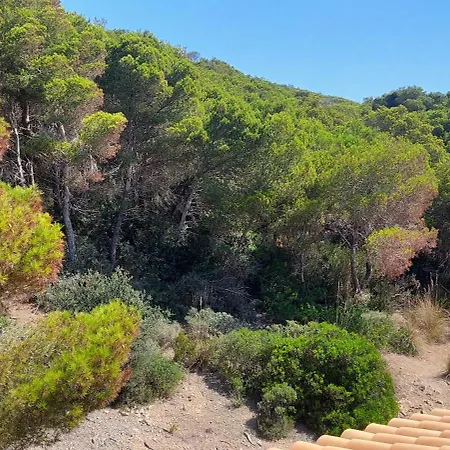 Sol Y Mar Holiday home Cala Ratjada (Mallorca)